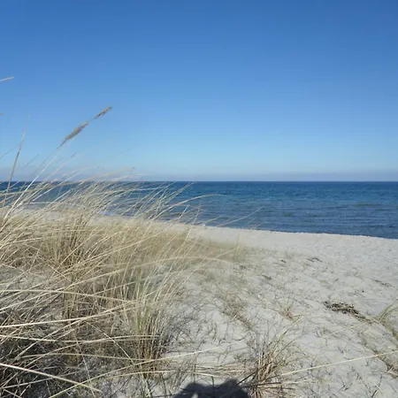 Lejlighed Terrassen-fewo Seaside Am Ostseestrand Inkl Schwimmbad Und Strandkorb *